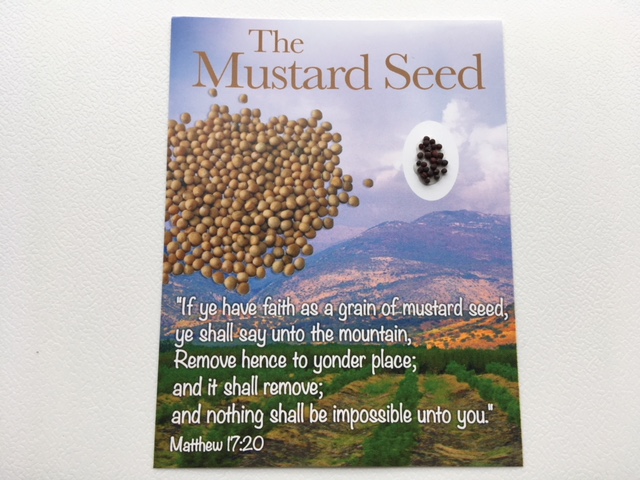 Mustard Seeds from the Holy Land